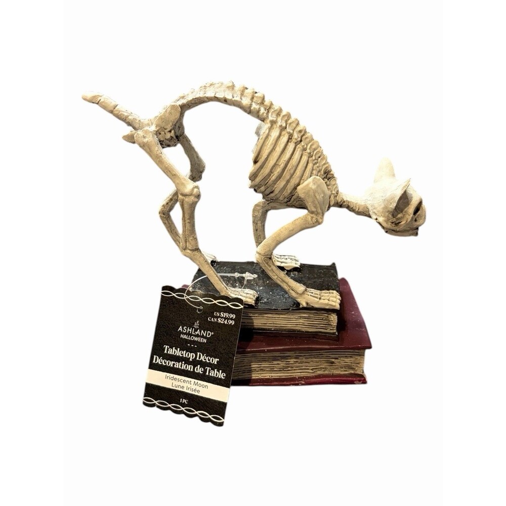 Skeleton Cat Figure Ashland Halloween Tabletop Decor Books